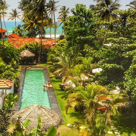 Turtle Eco Beach Matara Ngoại thất bức ảnh