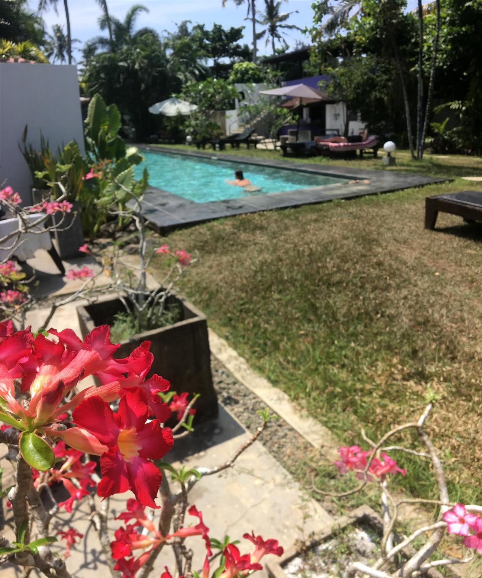 Turtle Eco Beach Matara Ngoại thất bức ảnh