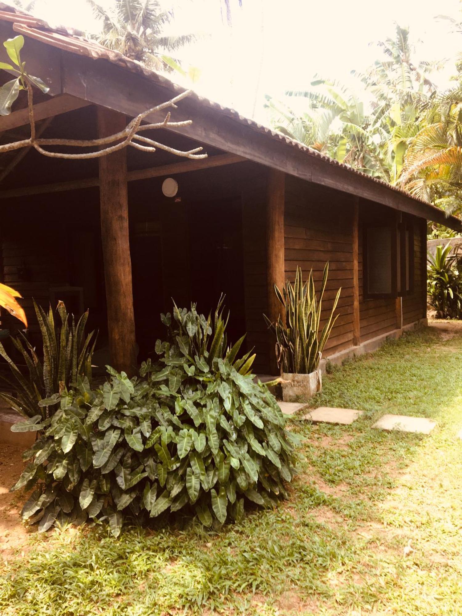 Turtle Eco Beach Matara Ngoại thất bức ảnh