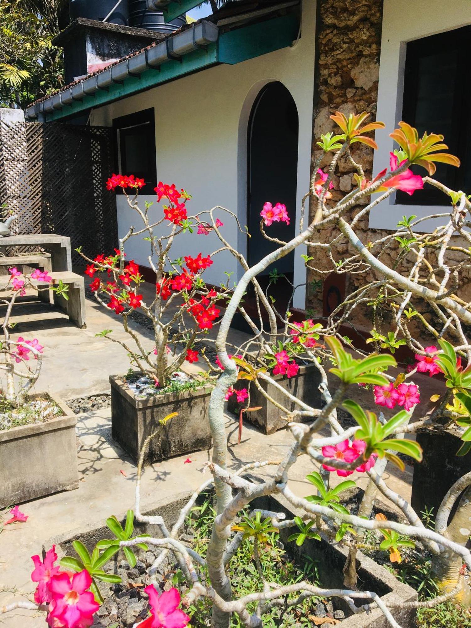 Turtle Eco Beach Matara Ngoại thất bức ảnh