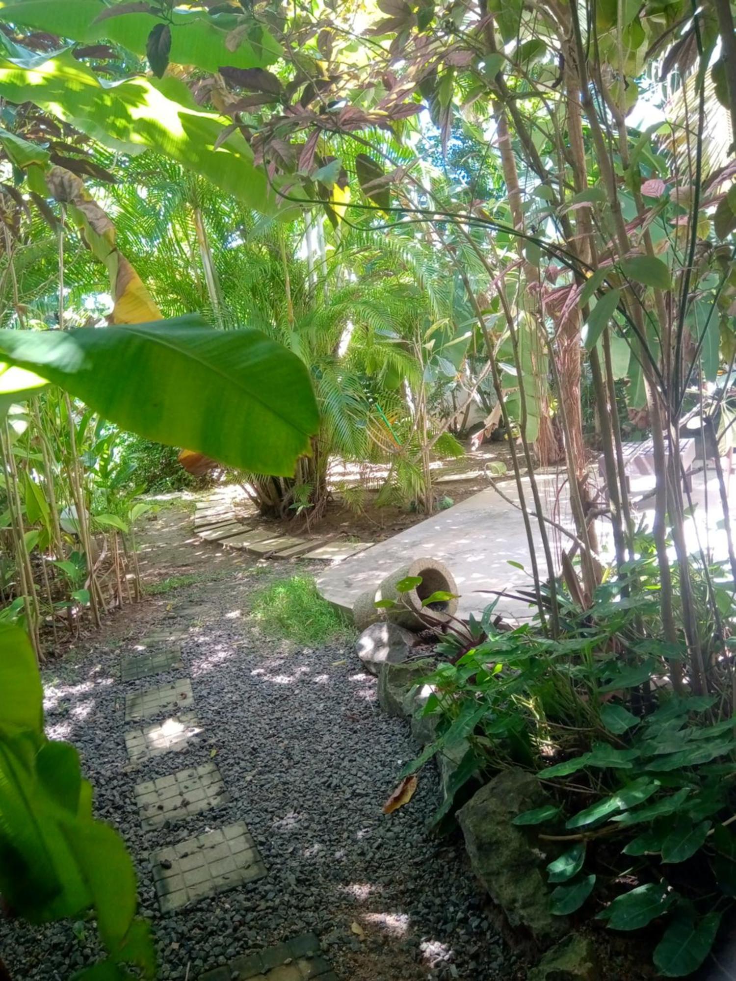 Turtle Eco Beach Matara Ngoại thất bức ảnh