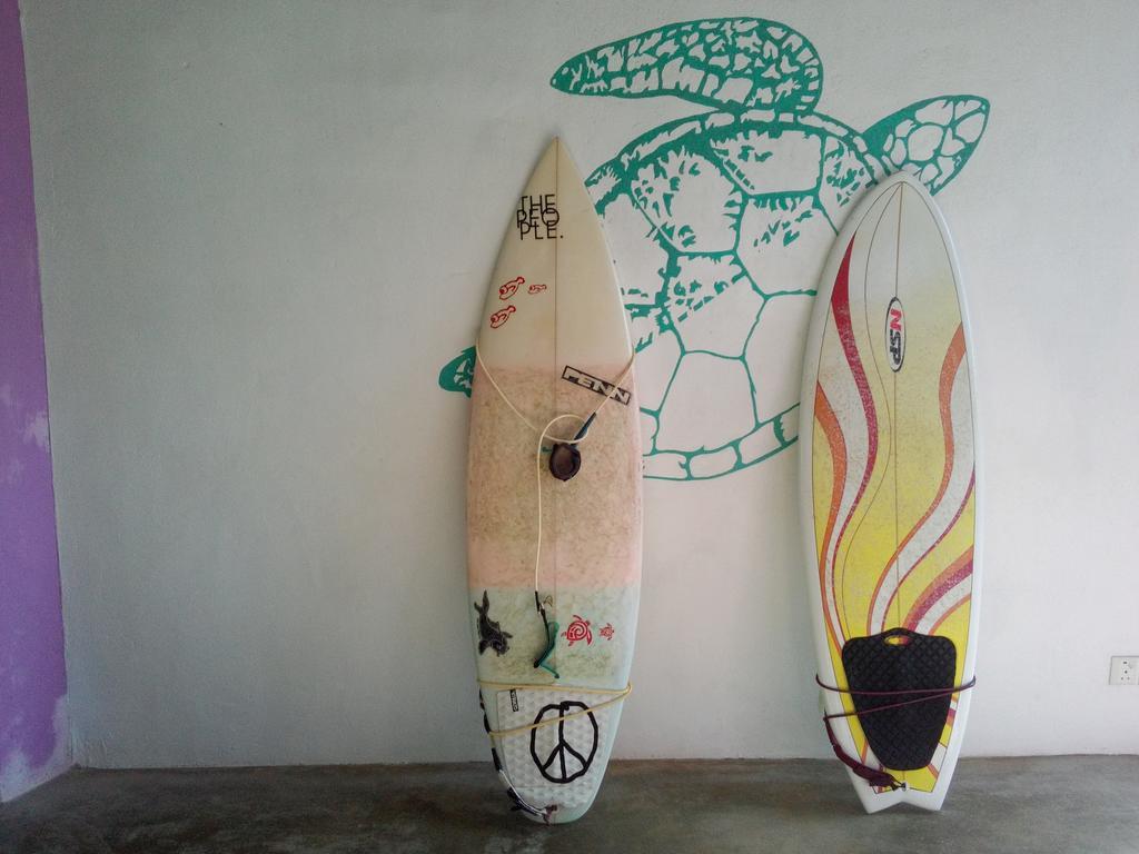 Turtle Eco Beach Matara Ngoại thất bức ảnh