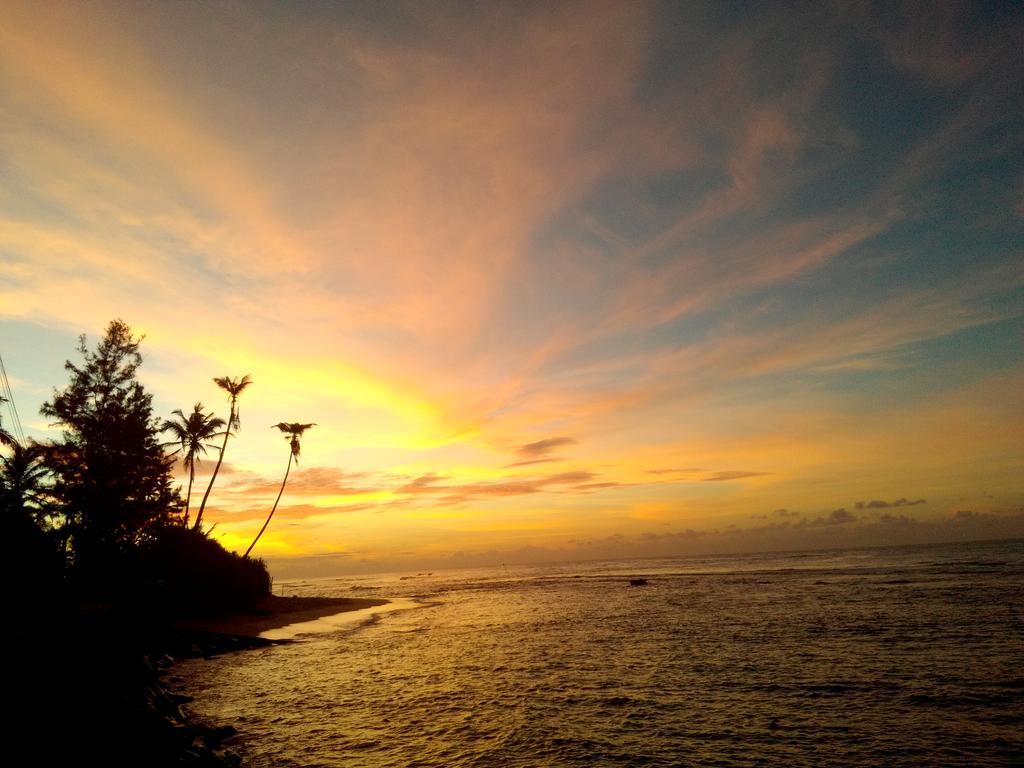 Turtle Eco Beach Matara Ngoại thất bức ảnh