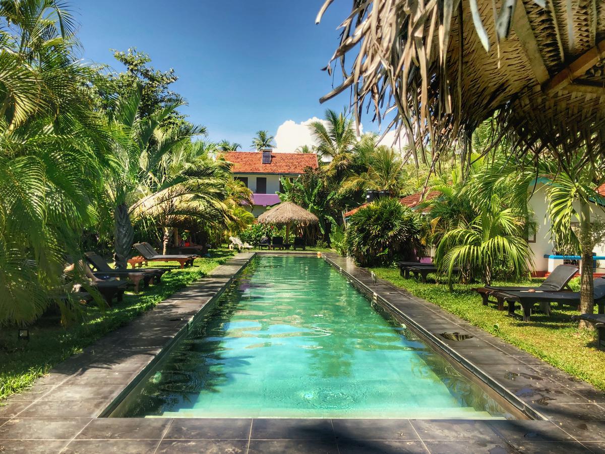 Turtle Eco Beach Matara Ngoại thất bức ảnh