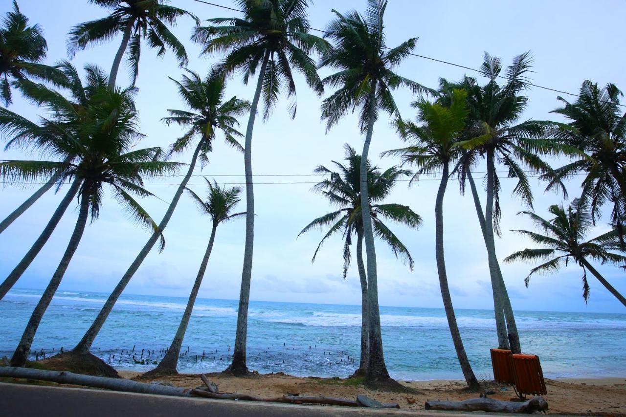 Turtle Eco Beach Matara Ngoại thất bức ảnh