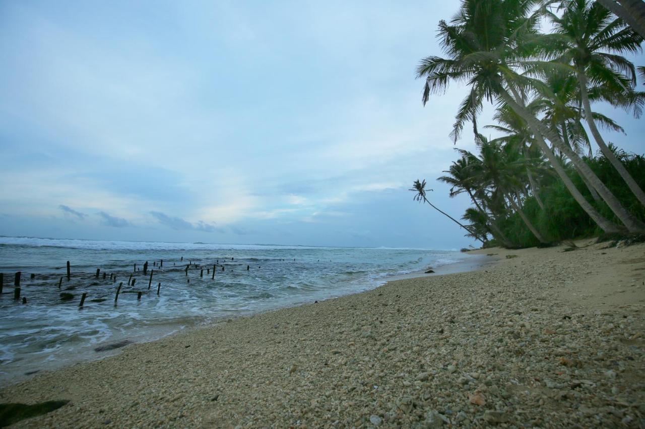 Turtle Eco Beach Matara Ngoại thất bức ảnh