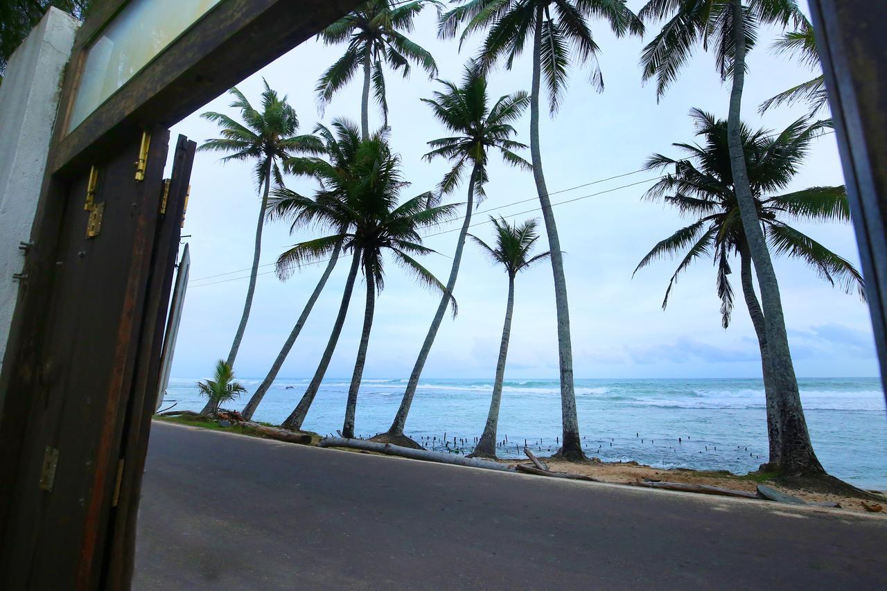 Turtle Eco Beach Matara Ngoại thất bức ảnh