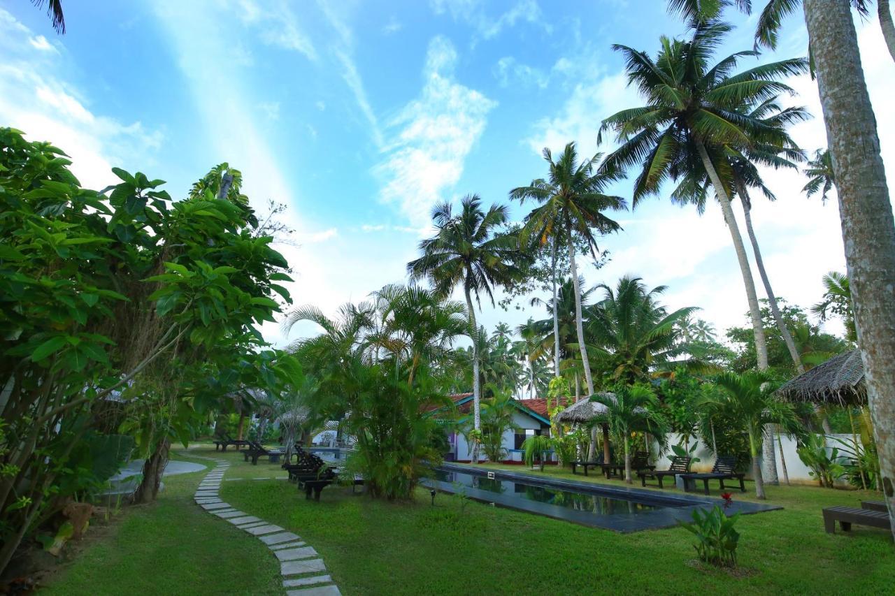 Turtle Eco Beach Matara Ngoại thất bức ảnh