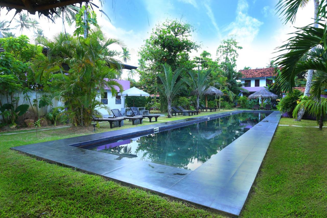 Turtle Eco Beach Matara Ngoại thất bức ảnh