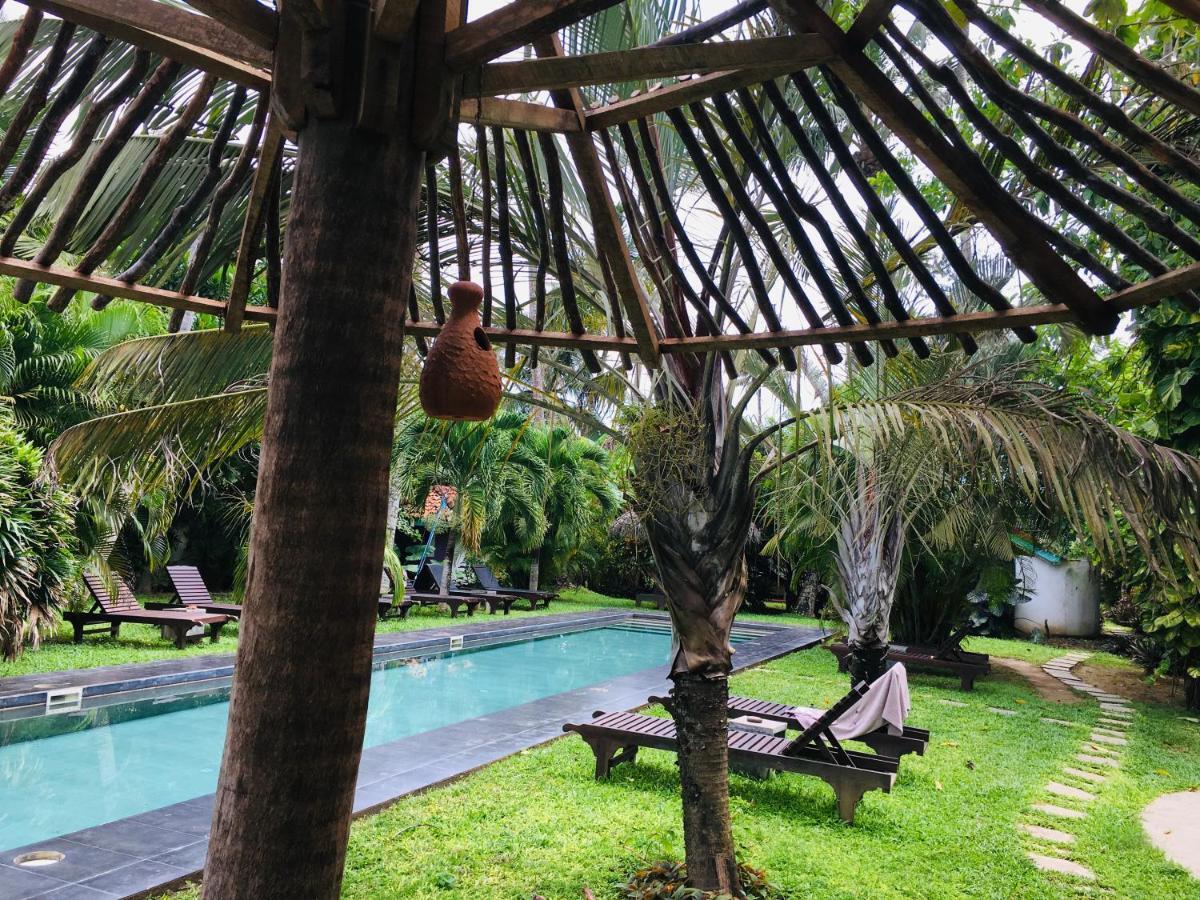 Turtle Eco Beach Matara Ngoại thất bức ảnh